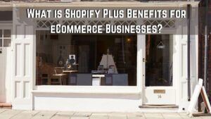 What is Shopify Plus Benefits for Ecommerce Businesses?