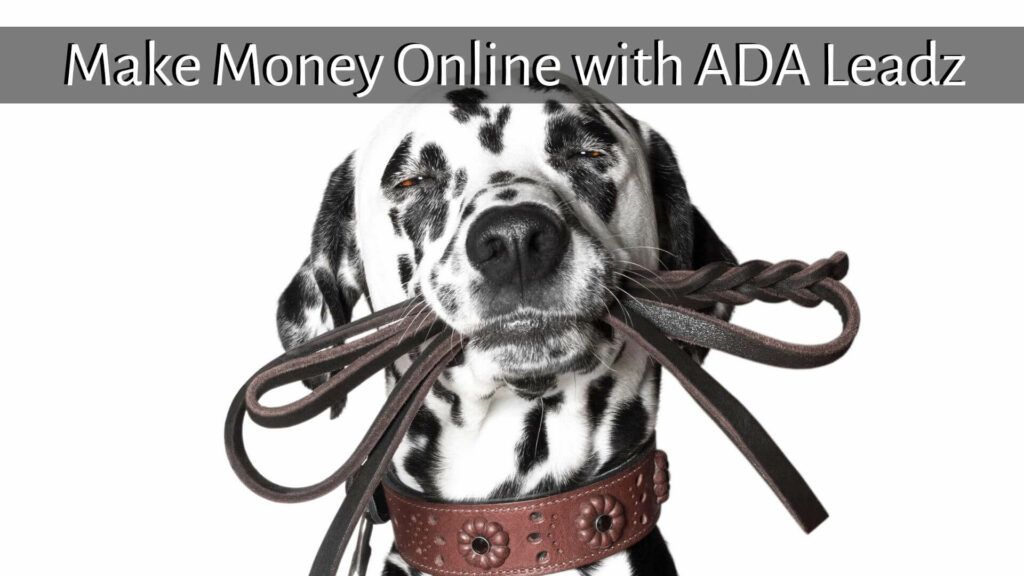 Make Money Online with ADA Leadz