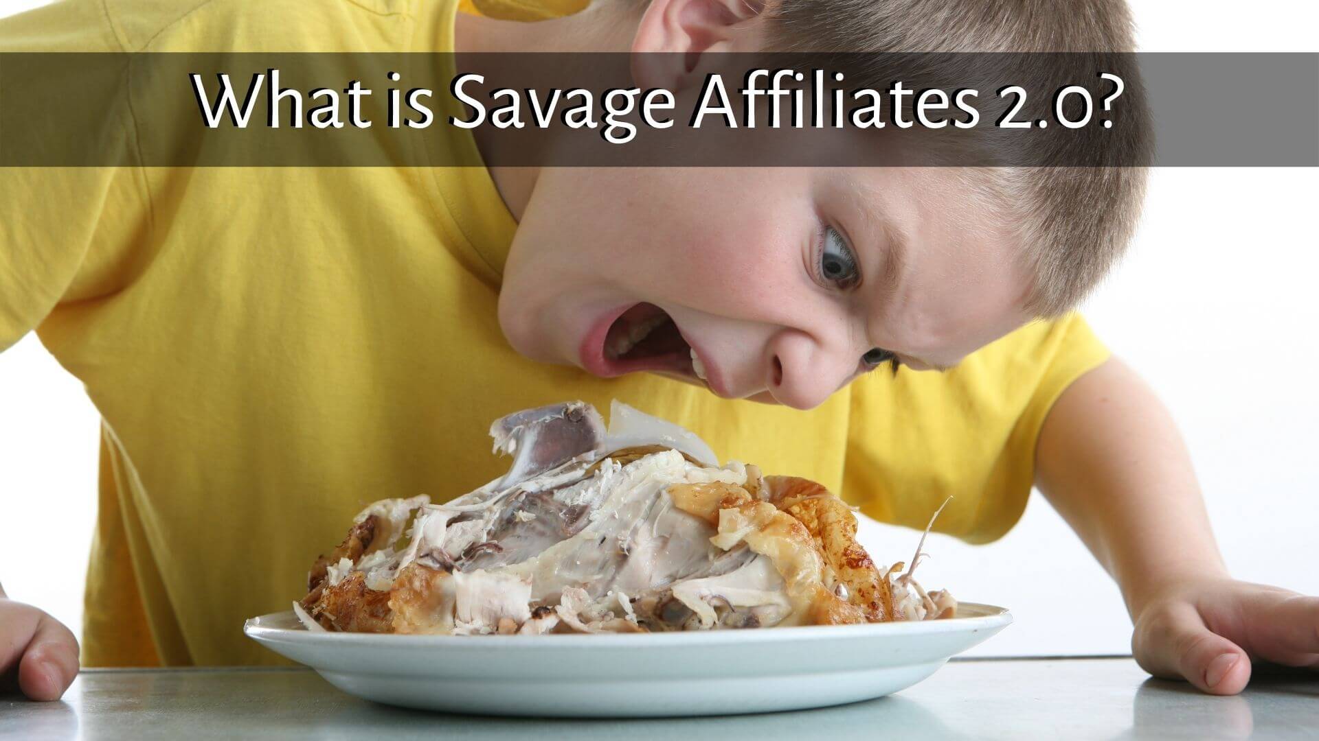 What is Savage Affiliates 2.0?