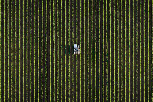 Agricultural harvestin